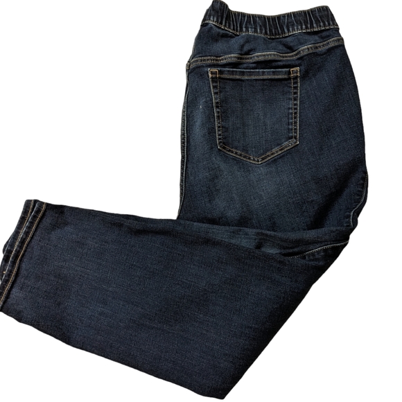 Torrid ankle jeans size 2.  Elastic waist pull on pants with draw string as well - Picture 1 of 6